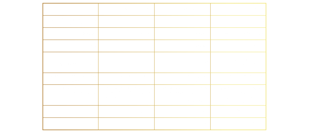 טבלה השקעות